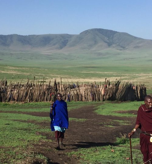 146e14d0-5380-46cb-9d34-a4898508d0b2