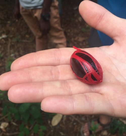 2b4400d9-efc4-4ab1-bcb0-4db9ee08ec97