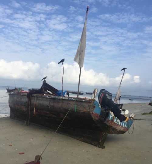 2bad7a54-fde0-4d82-84dd-0fcfb980f4cc