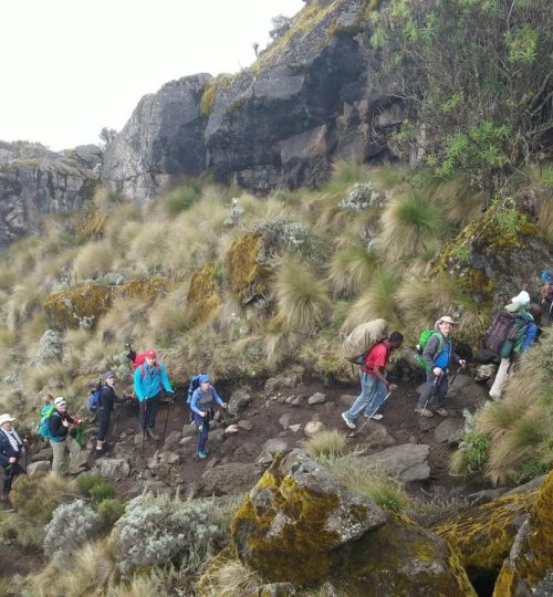 2d9e965c-6568-431f-984a-a45fbbe4d28f