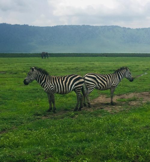 4a99175d-221e-4f05-a25d-d94c4330cfaf