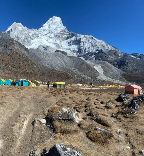 4cf8203c-b935-49b6-a0dc-8211a4698200