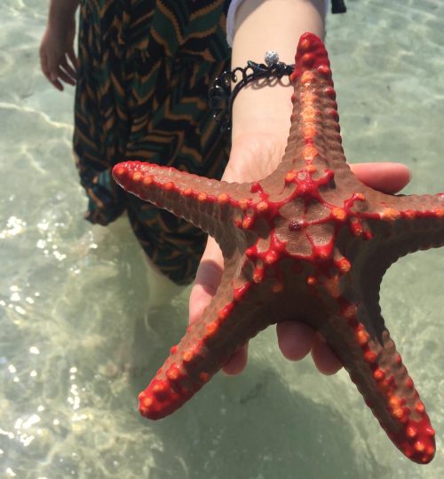 595ee406-daeb-4fb2-97db-89eac49d797f