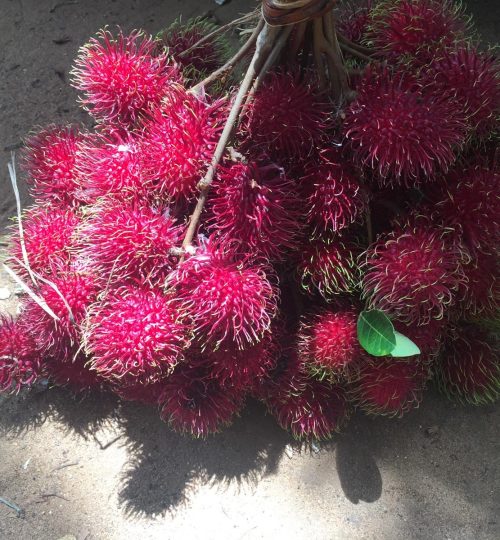 6b6f19ac-e674-4b34-88c9-e30b5e0e9d07