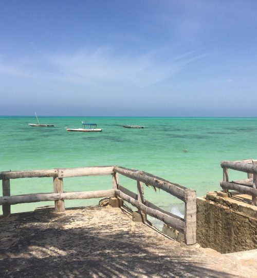 6e19c947-10ff-4408-98ca-ce402ea1d167