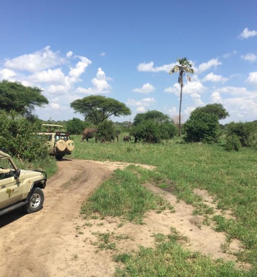 7fc06a1a-0872-4b77-acc1-4bfa60837207