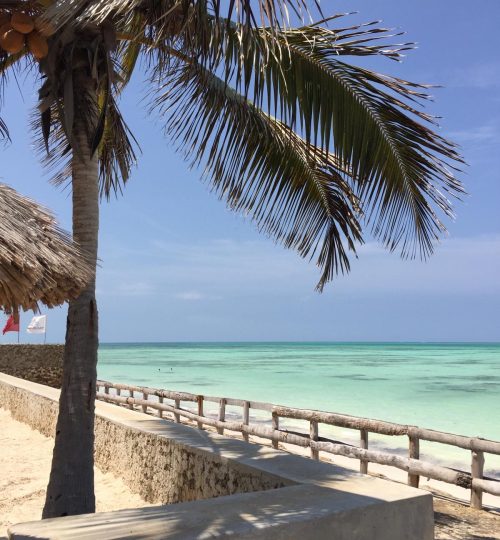 9154b185-83e1-48d1-b72a-ce37bf3a90c3