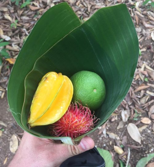 a716c057-144a-438c-90b7-4882ab9b5851