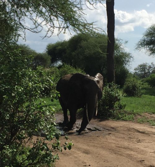 a73540e0-9544-4386-b3a1-6bc9c792dc5d