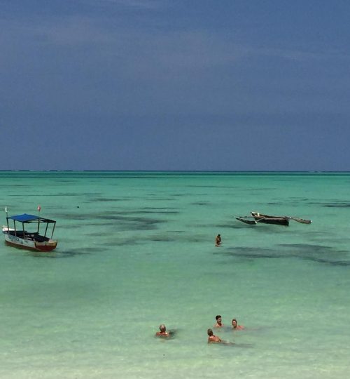 ae6456c5-68ea-4f3a-82e5-3a6784b3fb4b