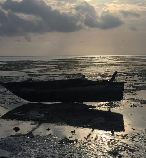 b27d61d9-173f-495a-8f34-a1b421269565