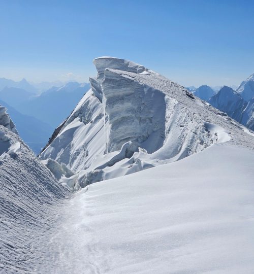 c56444e1-f108-4039-b4d6-468d0d214f58