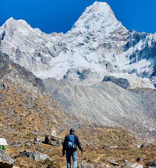 c7a52d6a-d121-4a67-bf24-11a6c8d44418