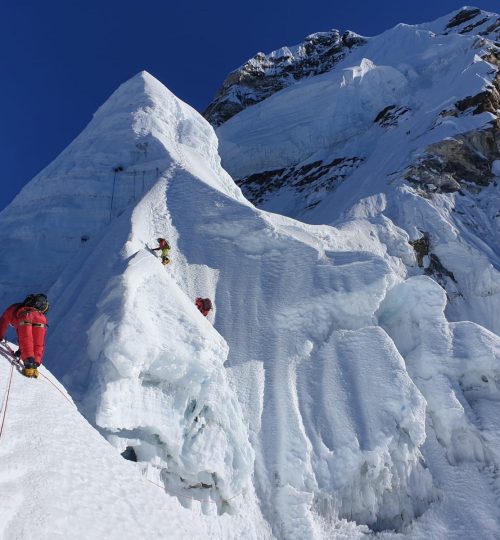 e58a0e35-233c-4d40-a298-0c2d98b51a38