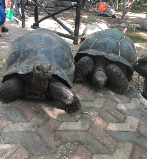 e7b8f6ad-0cbd-4b4a-8ad8-61fdc6ea751f