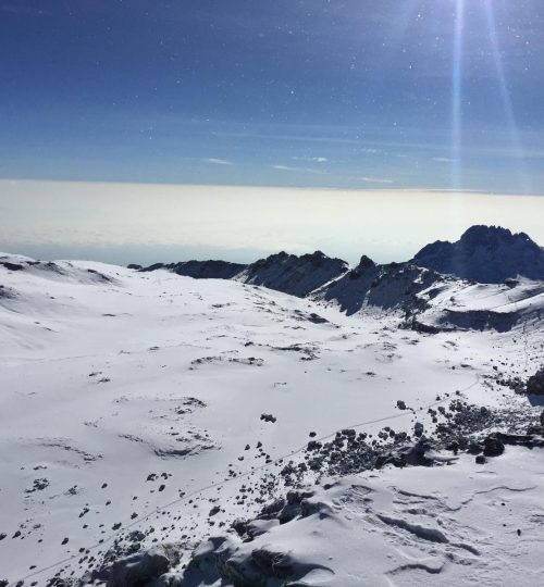 f7751834-c4e9-4ce3-b1b8-0b1441a0bb4f